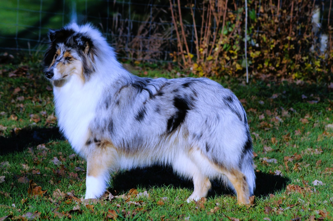 Unique sparkle fellow of eternity