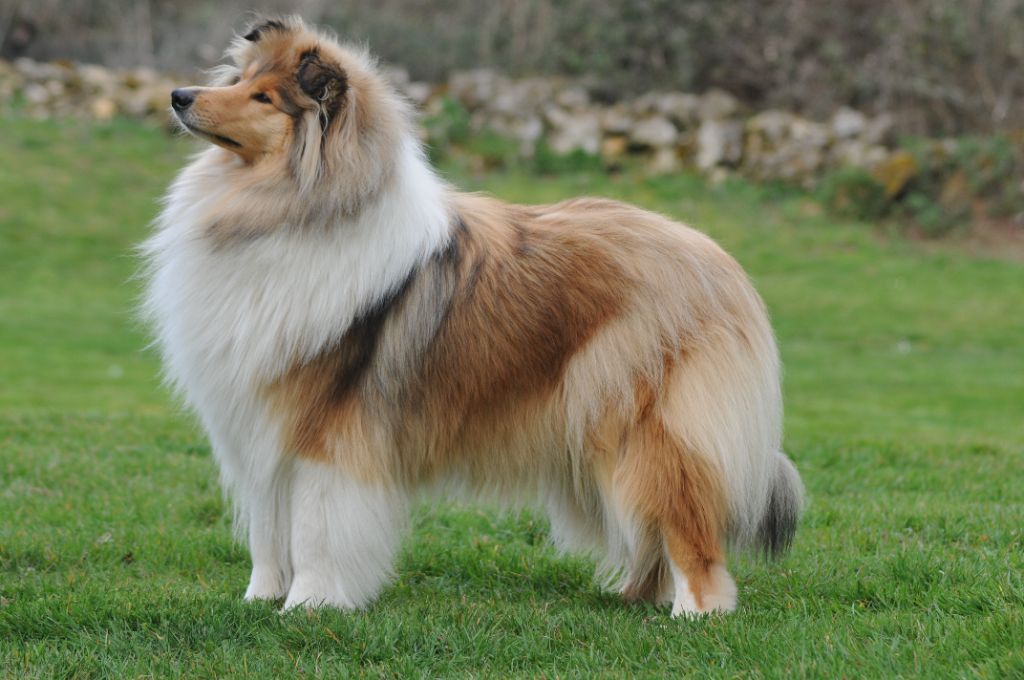 CH. Un air embaumé of lowland's green valley