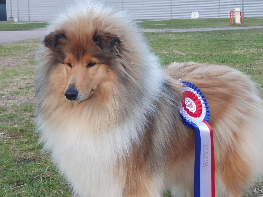 Exposition Nationale de Rouen 2025 