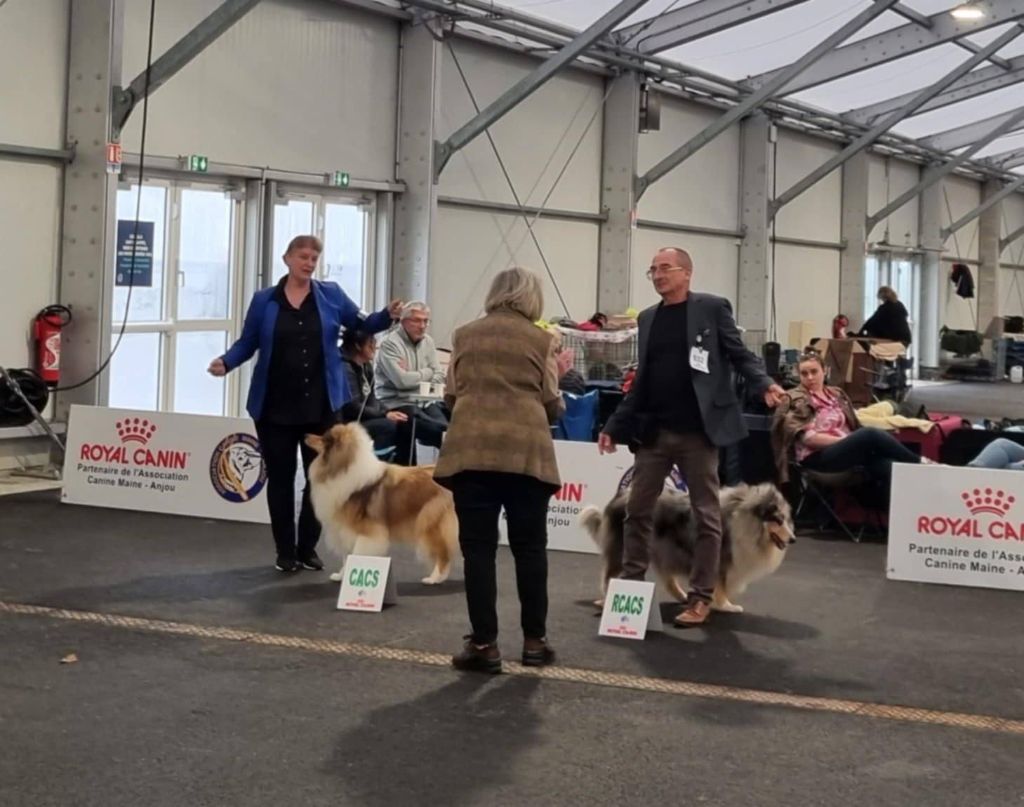 Exposition Angers 2025