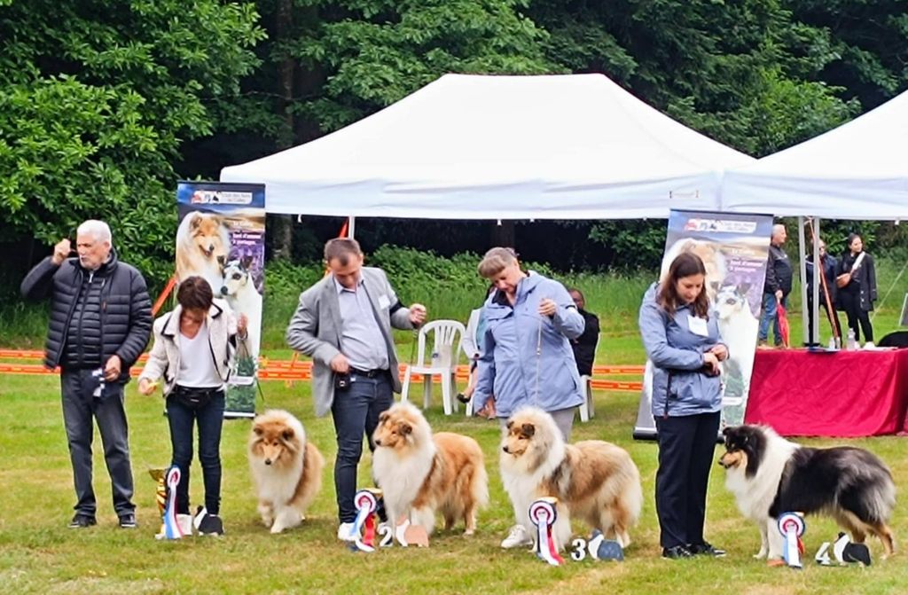 Nationale d'Elevage 2025 Club de Amis du Colley